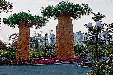 《终将凋零的镜花》2026年春登陆Switch 唯美和风冒险